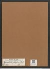 Cystopleura globifera (Heib.) De Toni (de-Toni-Nr.: Genus 103, Species 3131) Zeichnungen Sammlung Grunow Mappe 03378 (Herbarium_W_Grunow_drawings_Folder_03378)